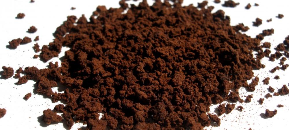 Preventing Roaches With Coffee Grounds
