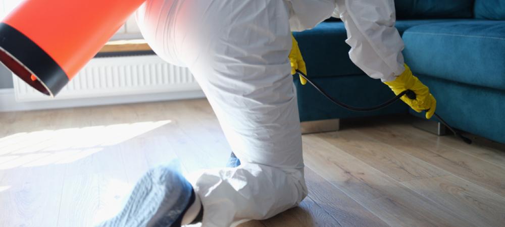 Pest management professional applying treatment