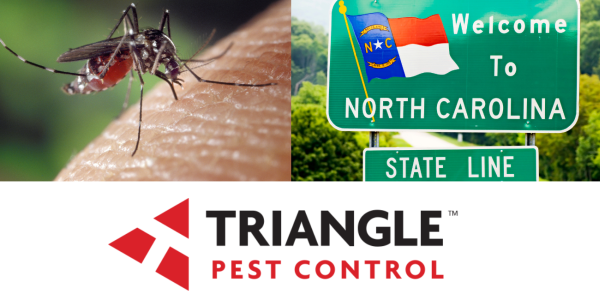 mosquitoes in North Carolina