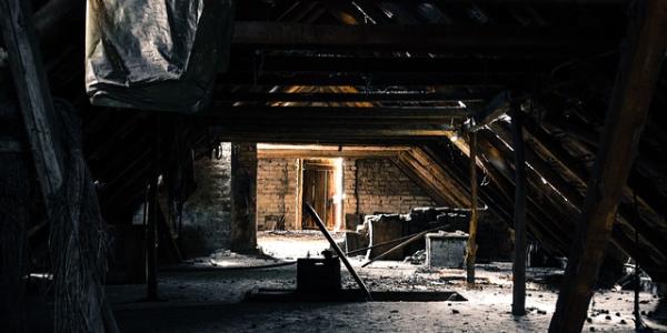 Protecting Your Home Against Rodents