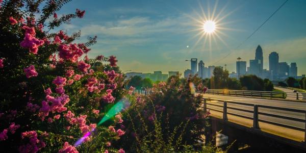 Charlotte Skyline