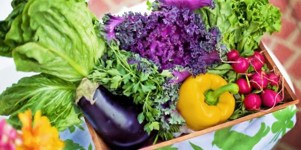 earth-day-vegetable-garden