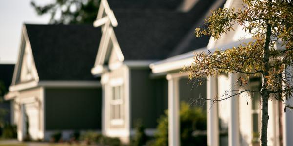 Termite Checklist