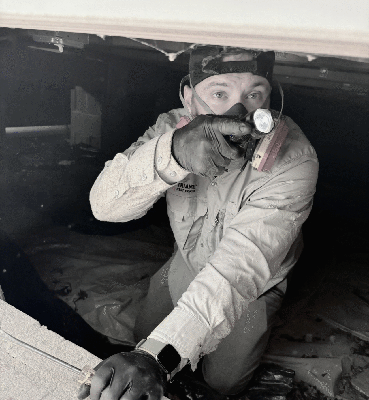 Triangle Pest Control technician inspecting a crawlspace during winter rodent control in Raleigh NC.”