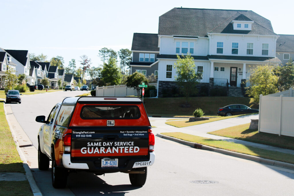 Termite Control in Raleigh: 5 Reasons Termites Never Take a Break ...