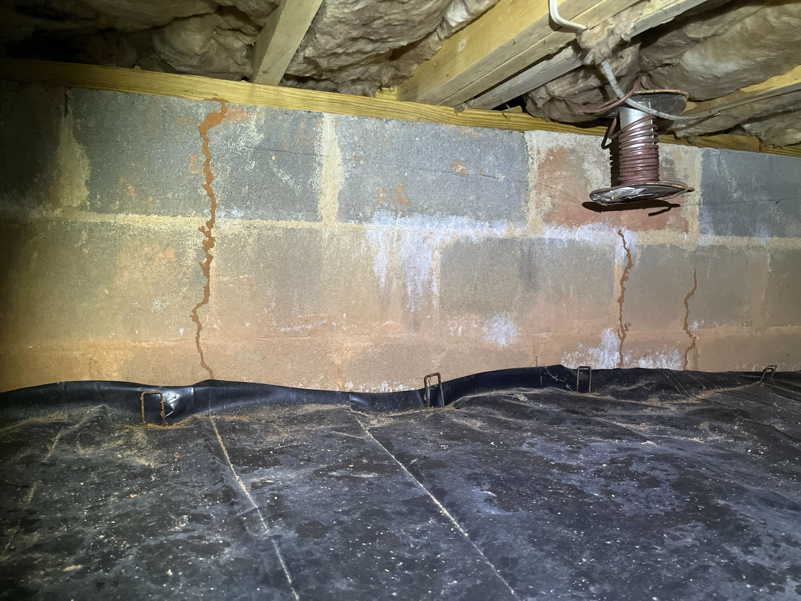 Early termite inspections in Raleigh checking crawl space foundation walls