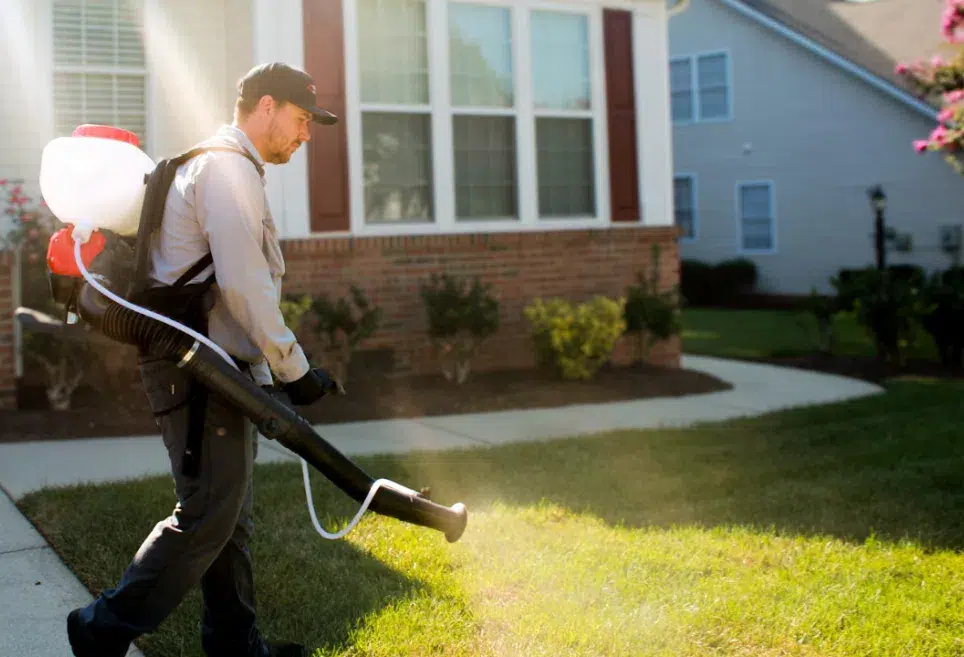 DIY Mosquito Control Methods
