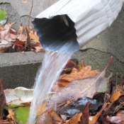 Downspout draining water near a Charlotte home foundation, creating moisture conditions that attract pests.