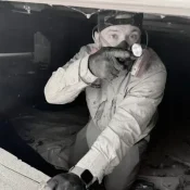 Complete Guide To Termite Inspections
