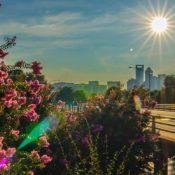 Homeowners-Guide-to-Termite-Protection-in-Charlotte-1-1.jpg