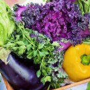 What-Are-the-Environmental-Benefits-of-Growing-Your-Own-Food-1-1.jpg